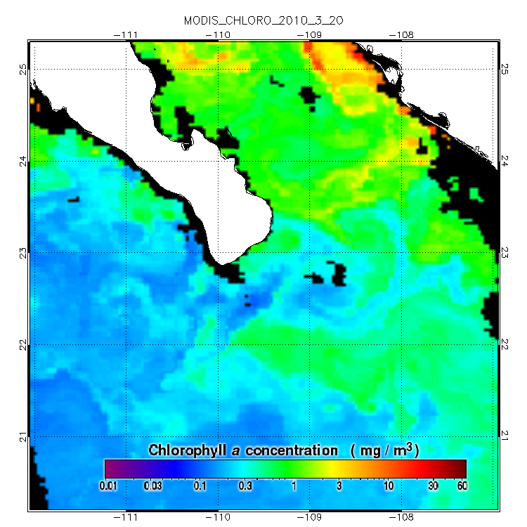 Chlorophyll Charts Fishing Free